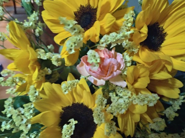 f:id:tsubakidoh:20190616185231j:image f:id:tsubakidoh:20190616185231j:image