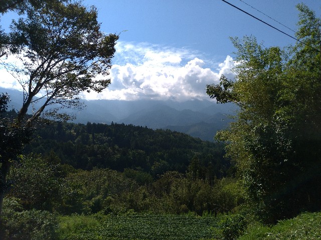 f:id:tsubakidoh:20190910191500j:plain f:id:tsubakidoh:20190910191500j:plain