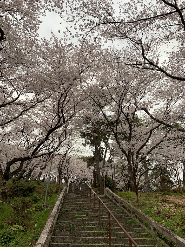 f:id:tsubakidoh:20210331174532j:image