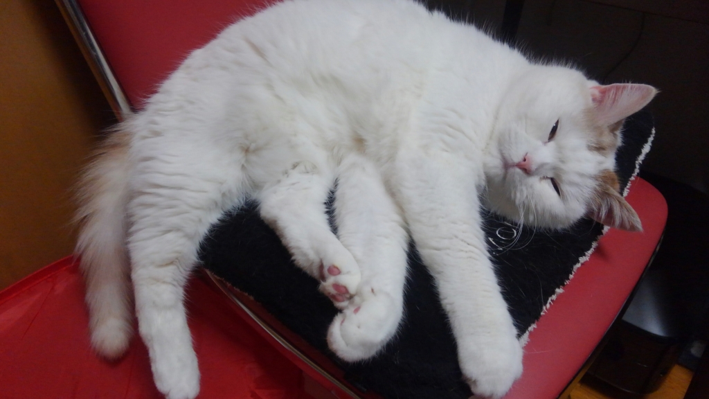 f:id:tsubakimoto_neko:20160421212558j:plain