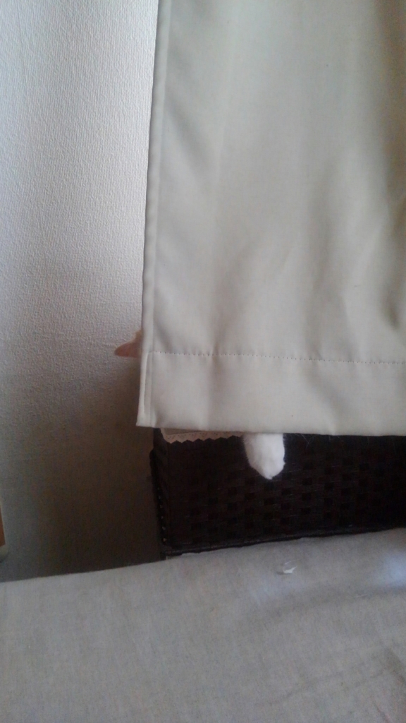 f:id:tsubakimoto_neko:20160611140245j:plain f:id:tsubakimoto_neko:20160611140245j:plain