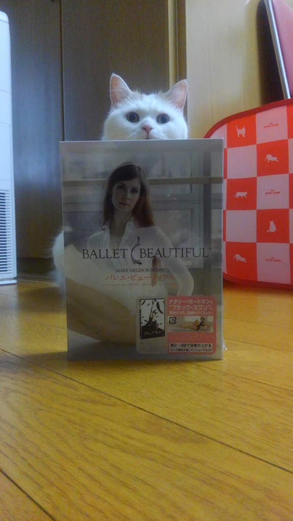 f:id:tsubakimoto_neko:20160619113110j:plain