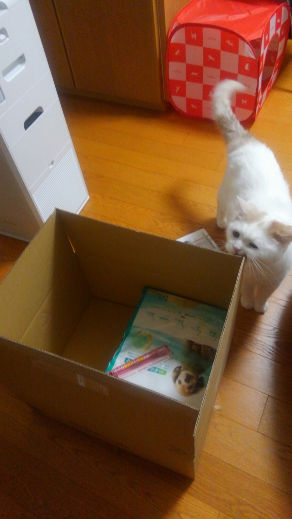 f:id:tsubakimoto_neko:20160619113541j:plain