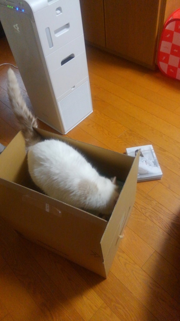 f:id:tsubakimoto_neko:20160619113628j:plain