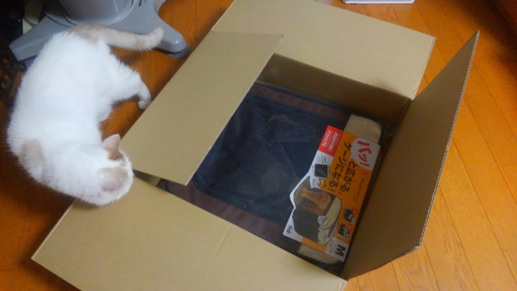 f:id:tsubakimoto_neko:20160619113747j:plain