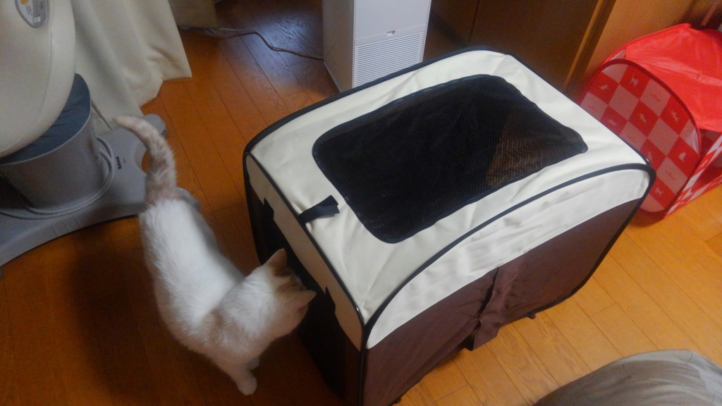 f:id:tsubakimoto_neko:20160619113839j:plain