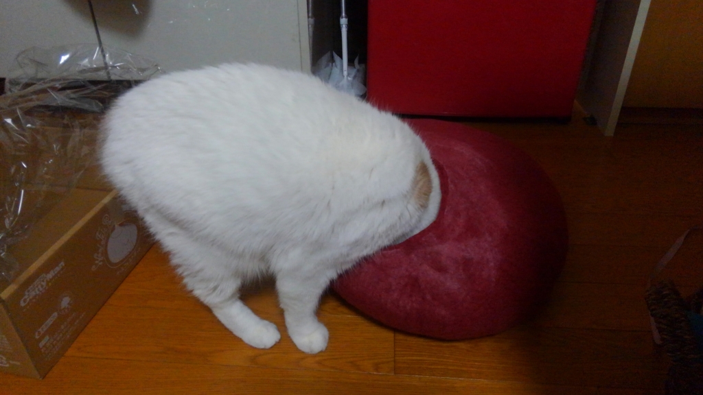 f:id:tsubakimoto_neko:20160620121716j:plain