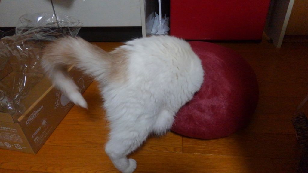 f:id:tsubakimoto_neko:20160620121730j:plain