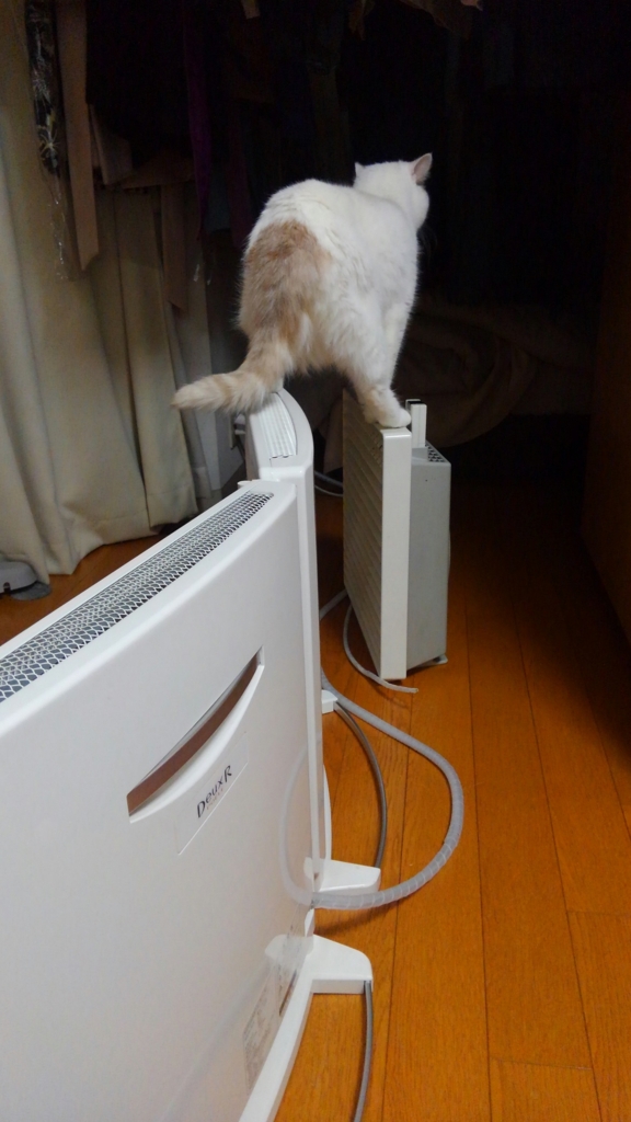 f:id:tsubakimoto_neko:20160620121828j:plain