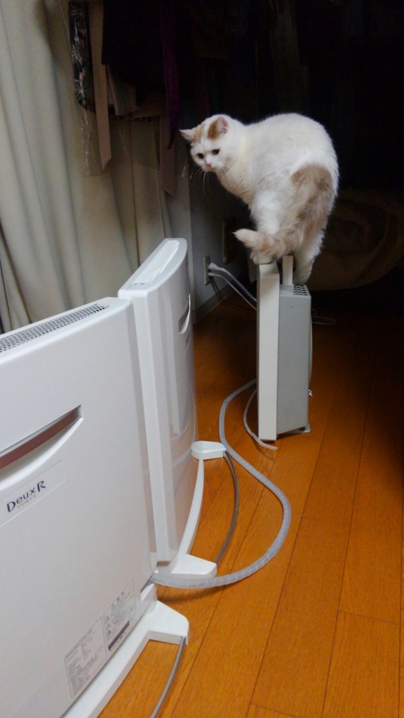 f:id:tsubakimoto_neko:20160620121840j:plain