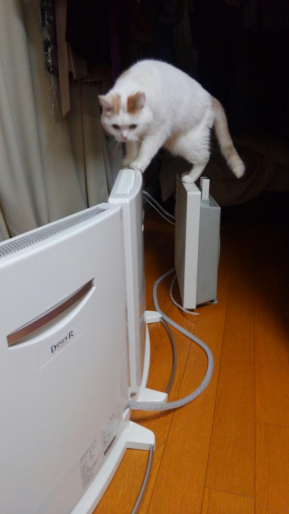 f:id:tsubakimoto_neko:20160620121853j:plain