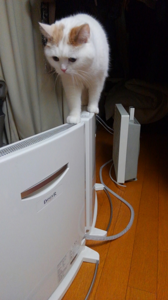 f:id:tsubakimoto_neko:20160620121922j:plain