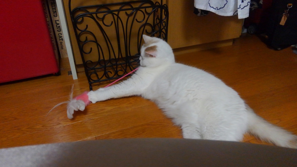 f:id:tsubakimoto_neko:20160620122033j:plain