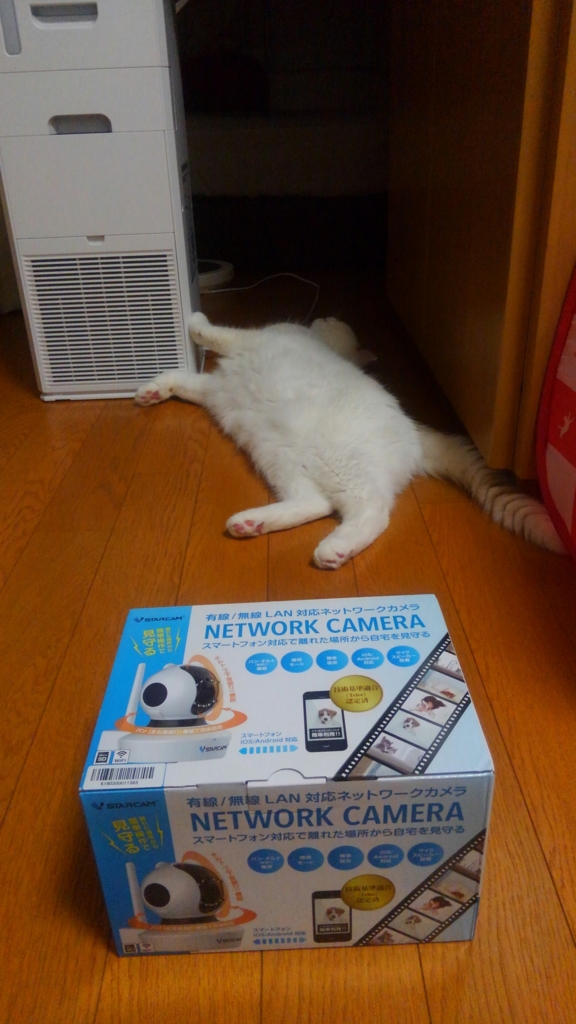 f:id:tsubakimoto_neko:20160717123405j:plain