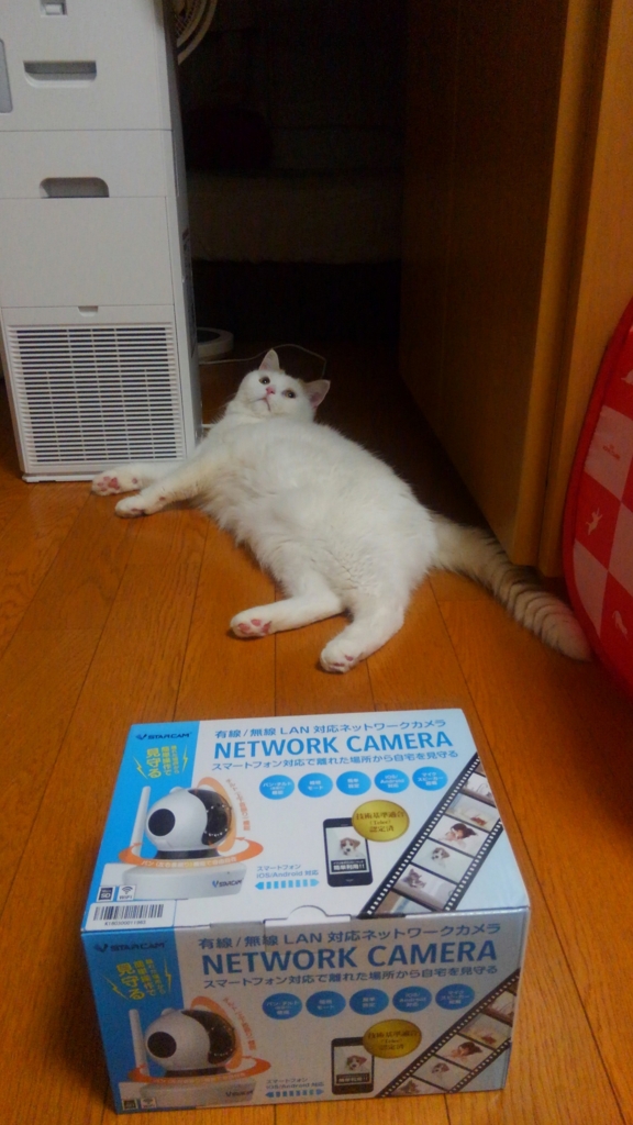 f:id:tsubakimoto_neko:20160717123427j:plain