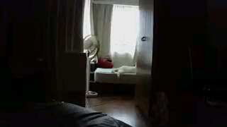 f:id:tsubakimoto_neko:20160717123731j:plain