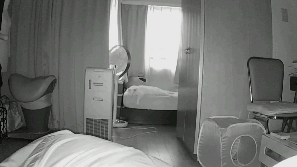 f:id:tsubakimoto_neko:20160717123740j:plain