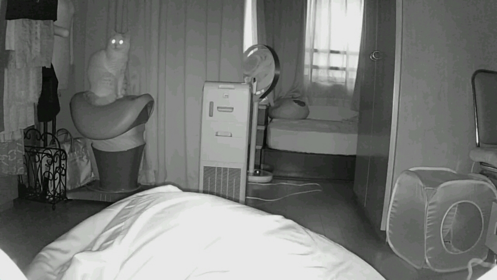 f:id:tsubakimoto_neko:20160717123807j:plain