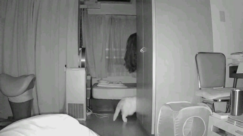 f:id:tsubakimoto_neko:20160717123957j:plain