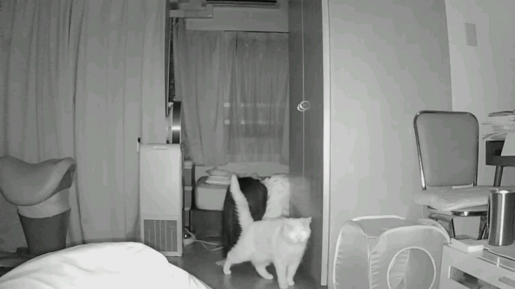 f:id:tsubakimoto_neko:20160717124049j:plain