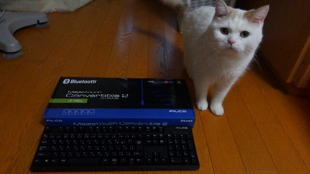 f:id:tsubakimoto_neko:20160910160225j:image