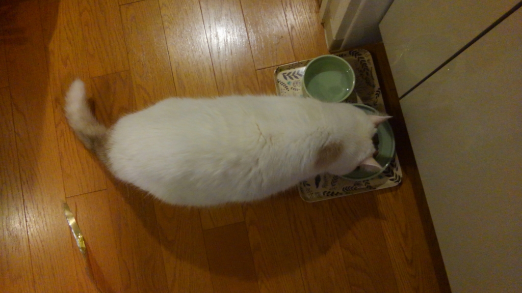 f:id:tsubakimoto_neko:20160922111832j:plain