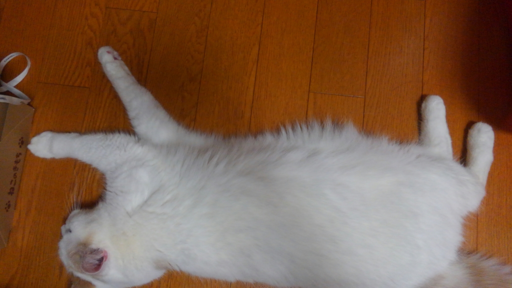 f:id:tsubakimoto_neko:20160922111934j:plain