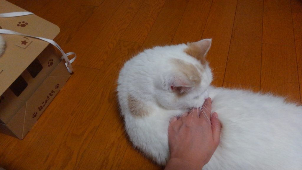 f:id:tsubakimoto_neko:20160922112031j:plain