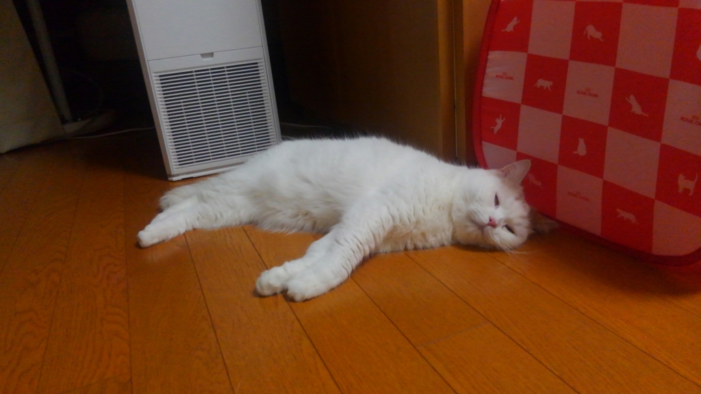 f:id:tsubakimoto_neko:20160922112119j:plain