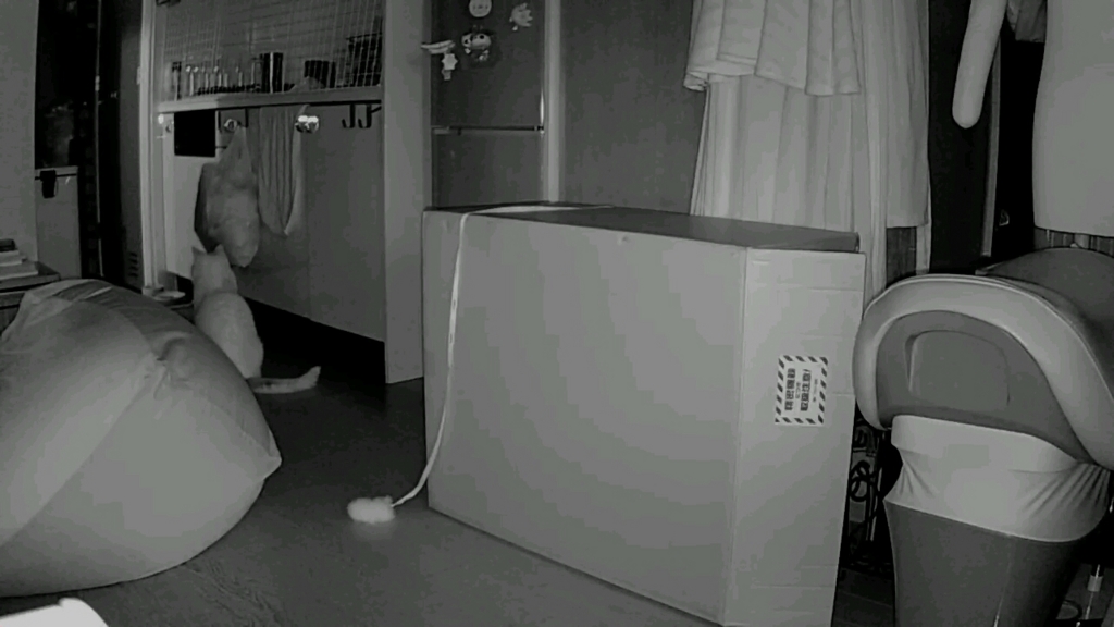 f:id:tsubakimoto_neko:20160922112527j:plain