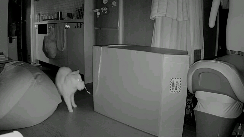 f:id:tsubakimoto_neko:20160922112623j:plain