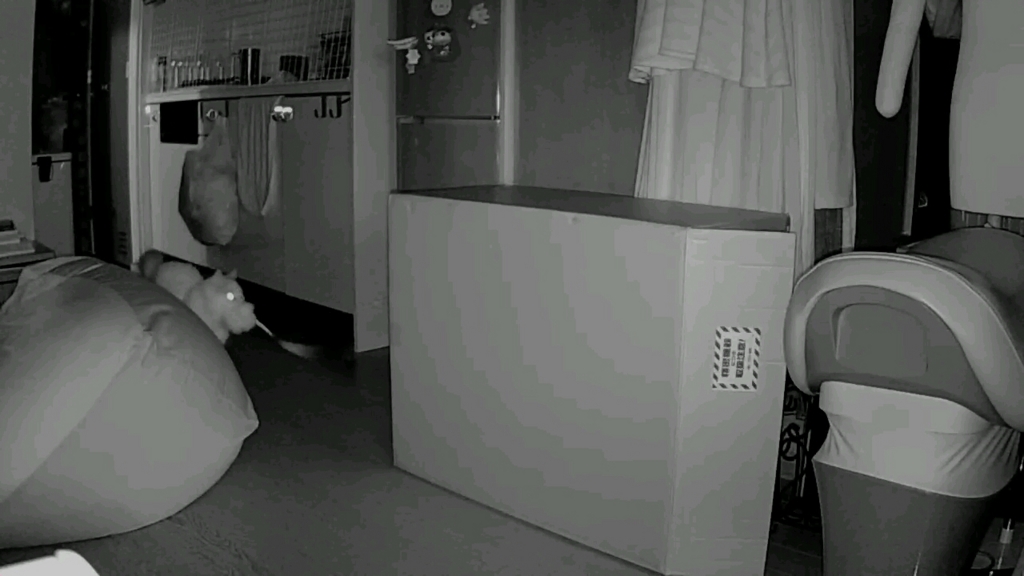 f:id:tsubakimoto_neko:20160922112633j:plain