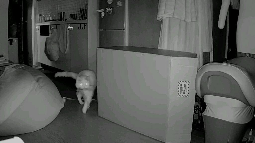 f:id:tsubakimoto_neko:20160922112644j:plain