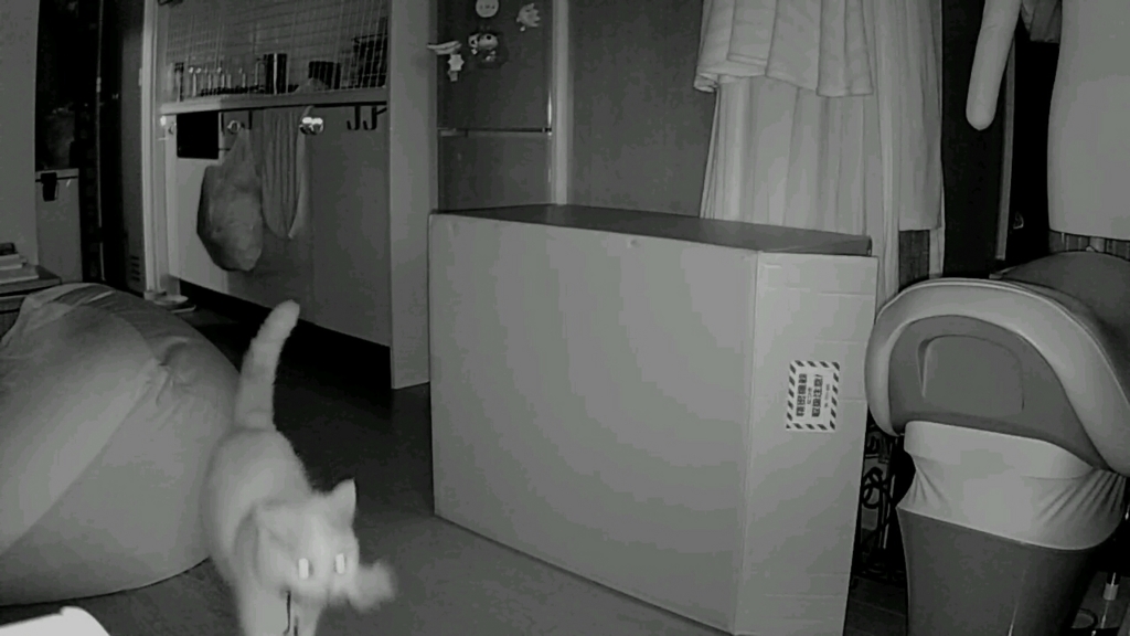 f:id:tsubakimoto_neko:20160922112655j:plain