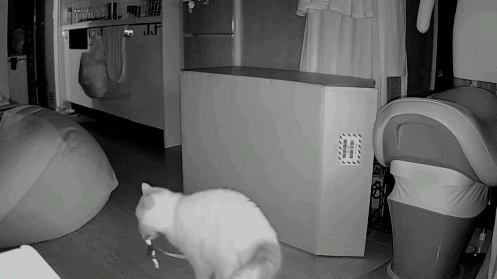 f:id:tsubakimoto_neko:20160922112707j:plain