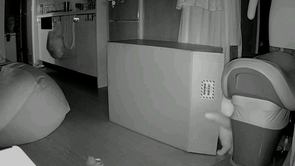 f:id:tsubakimoto_neko:20160922112727j:plain