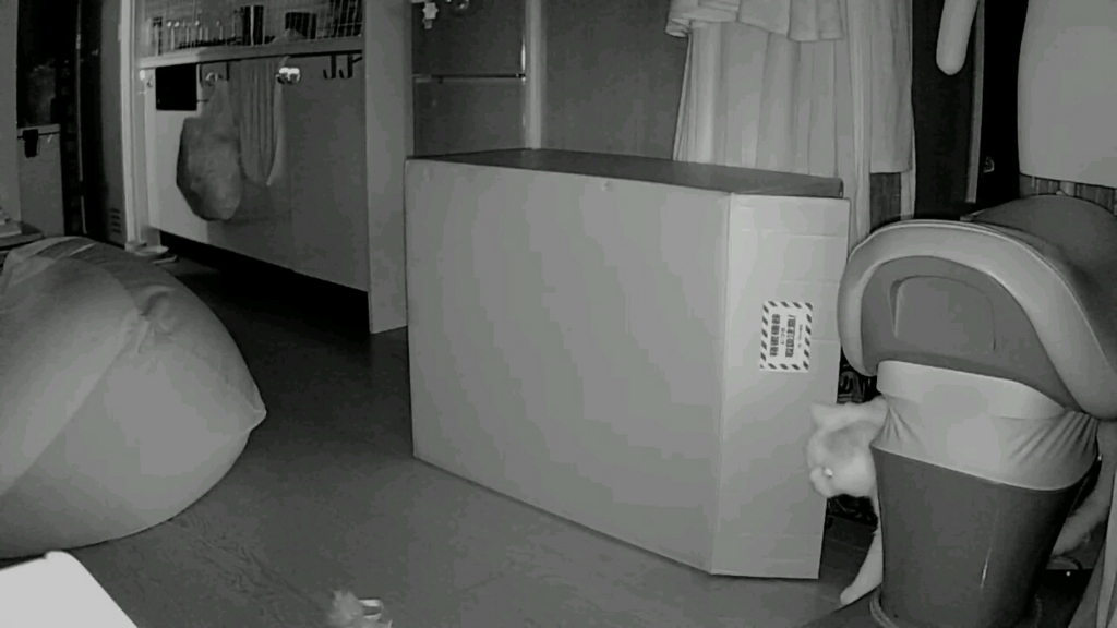 f:id:tsubakimoto_neko:20160922112738j:plain