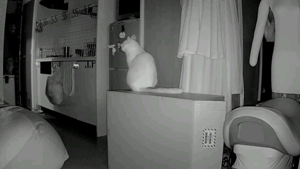 f:id:tsubakimoto_neko:20160922112750j:plain