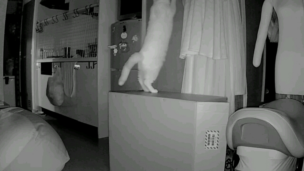 f:id:tsubakimoto_neko:20160922112800j:plain