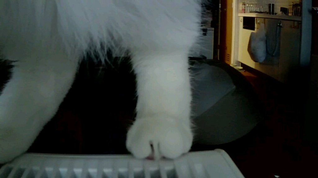 f:id:tsubakimoto_neko:20160922112836j:plain