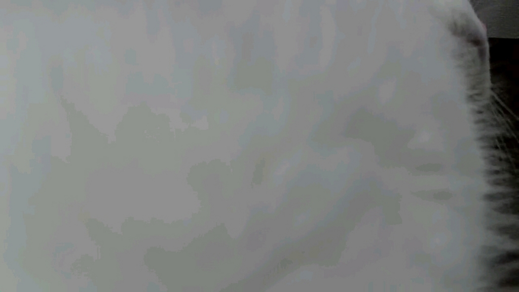 f:id:tsubakimoto_neko:20160922112846j:plain