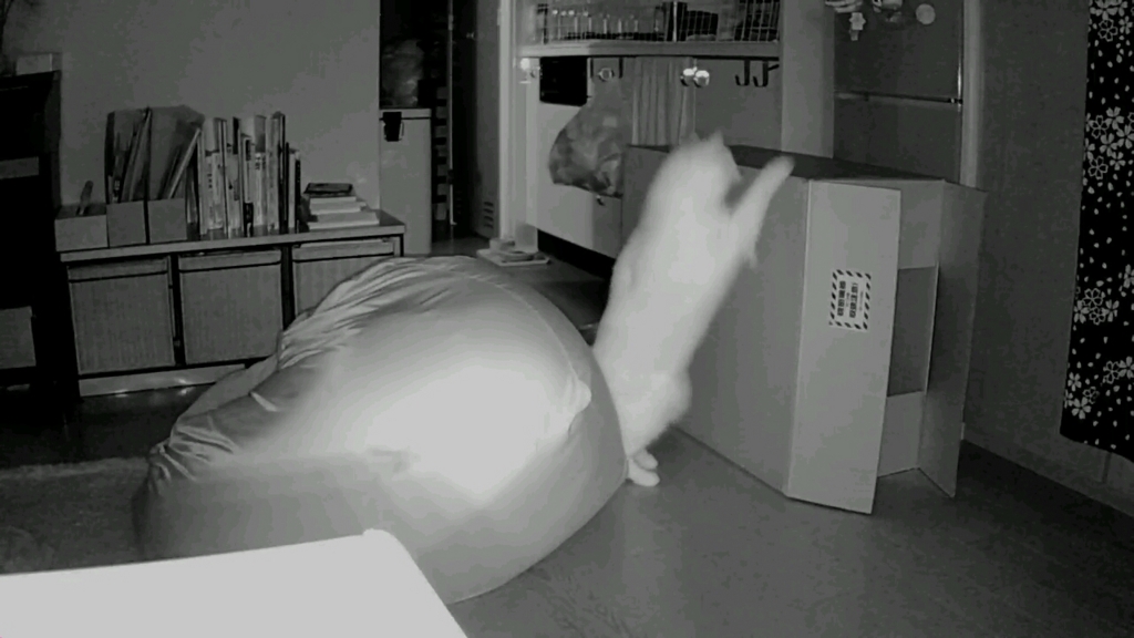 f:id:tsubakimoto_neko:20160922112920j:plain