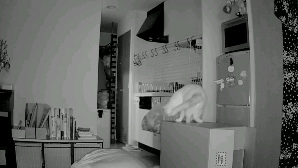 f:id:tsubakimoto_neko:20160922113016j:plain