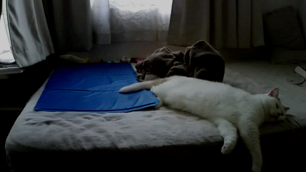 f:id:tsubakimoto_neko:20160922113106j:plain