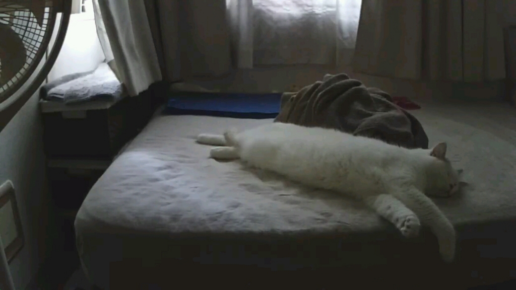 f:id:tsubakimoto_neko:20160922113301j:plain