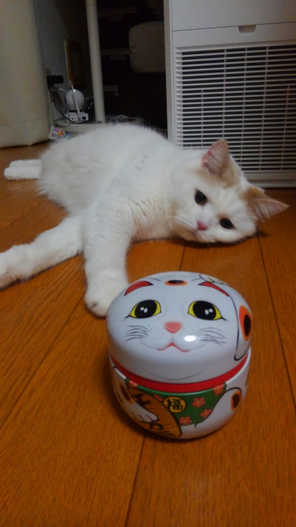 f:id:tsubakimoto_neko:20160922113330j:plain