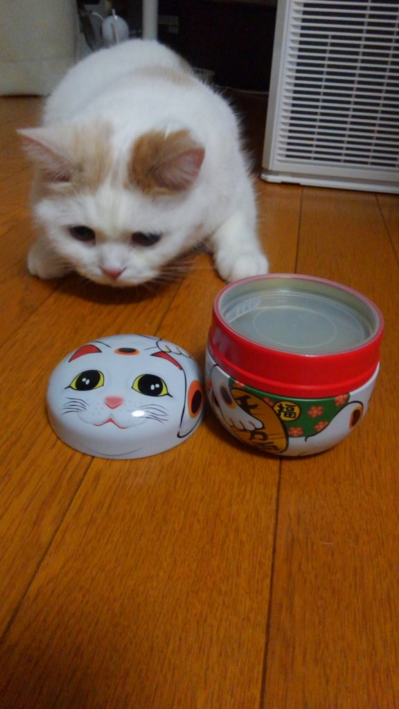 f:id:tsubakimoto_neko:20160922113358j:plain