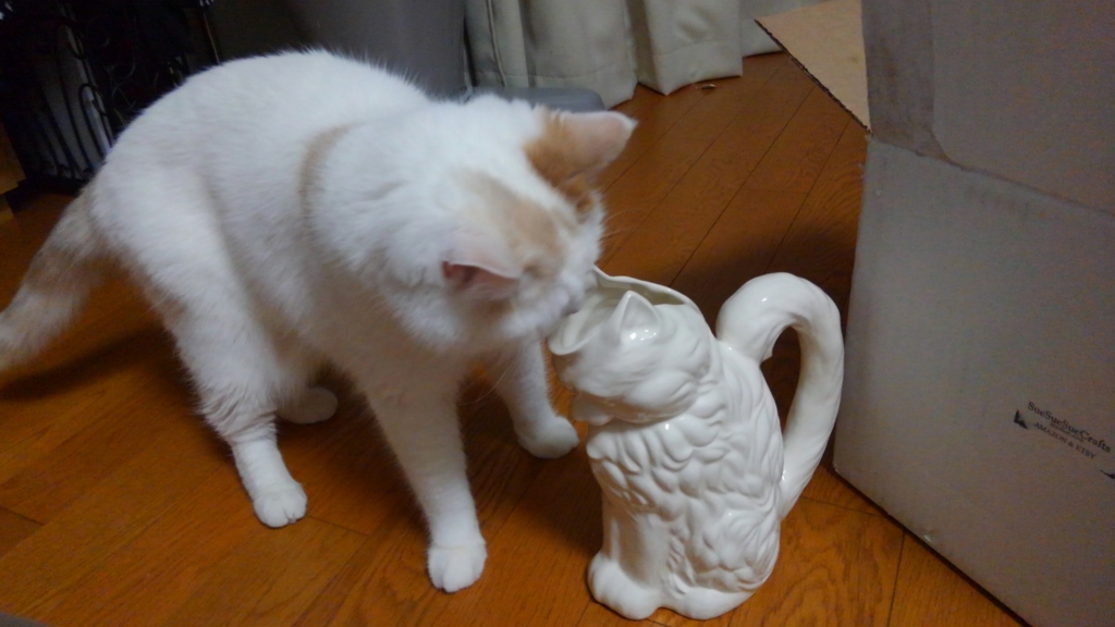 f:id:tsubakimoto_neko:20161023172351j:plain