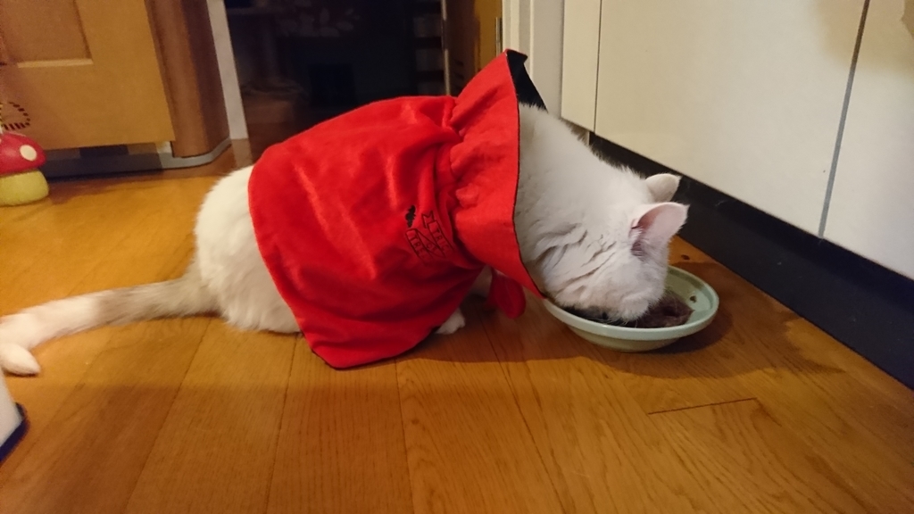 f:id:tsubakimoto_neko:20181107210231j:plain