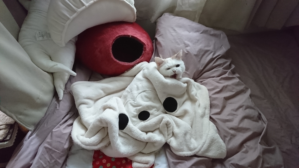 f:id:tsubakimoto_neko:20190215122726j:plain f:id:tsubakimoto_neko:20190215122726j:plain